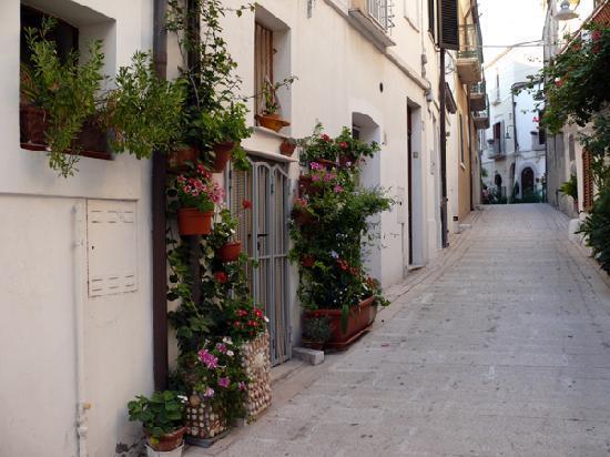 テルモリ Residenza Borgo Anticoヴィラ エクステリア 写真